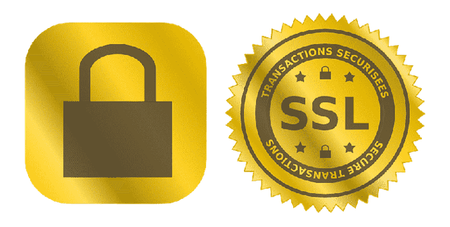 SSL Güvenli Bağlantı